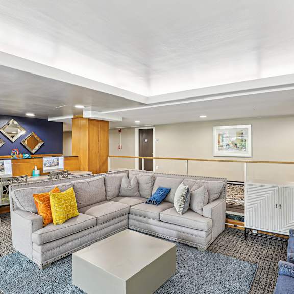 A living room with a grey couch and a blue rug.