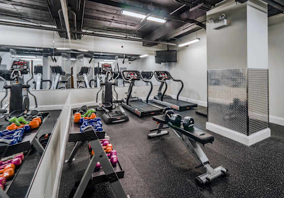A gym with treadmills and weights.