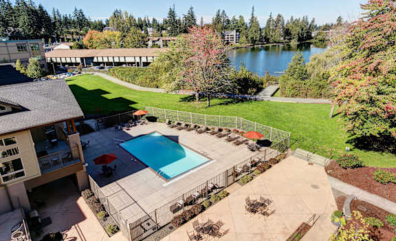 A pool surrounded by a fence and trees.
