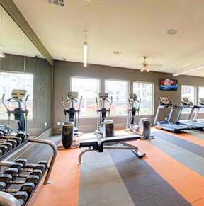 a gym with cardio equipment and weights