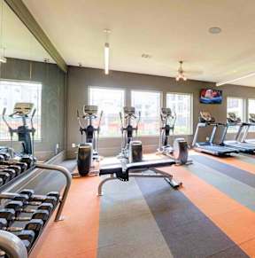 a gym with cardio equipment and weights