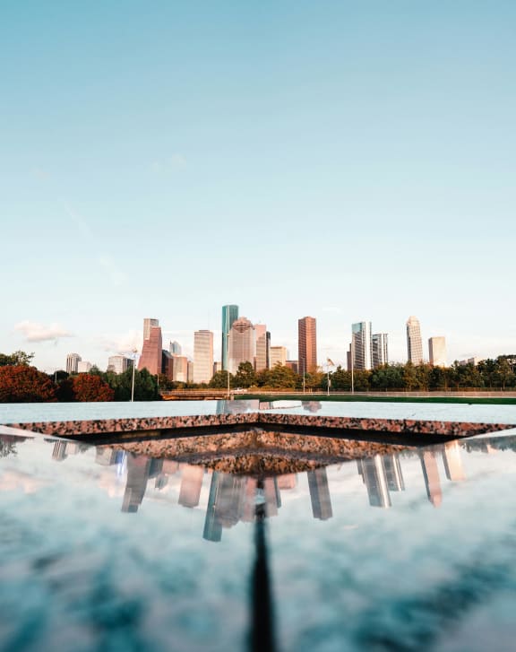 a view of the city skyline from a pool of water