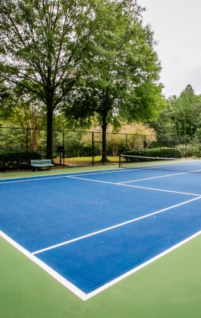 a tennis court with blue and green courts and trees