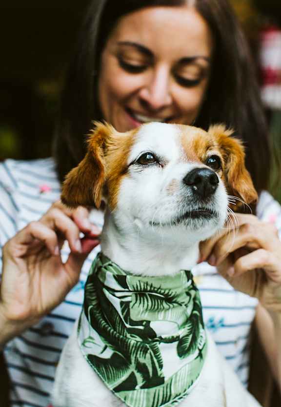 A woman is holding a dog with a green bandana around its neck.