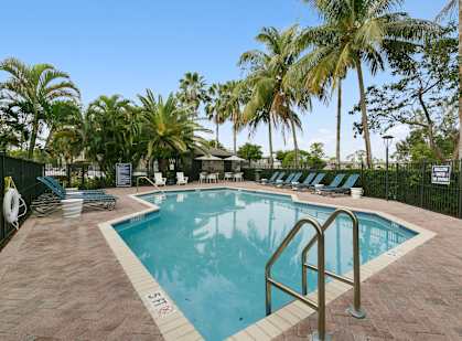 A pool surrounded by palm trees and lounge chairs.