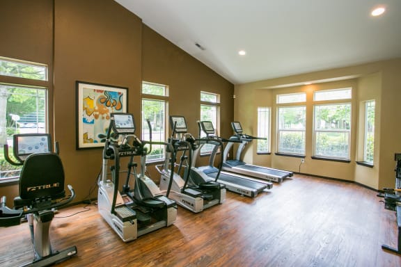 the gym has plenty of cardio equipment and large windows