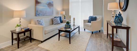 our apartments offer a living room
