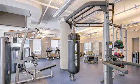 A gym with a punching bag and a variety of exercise equipment.
