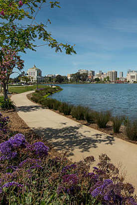 A beautiful day at the park with a view of the city skyline.