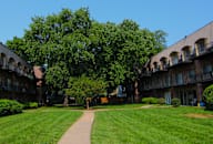 a grassy area with a tree in the middle of it at Waldo Heights, Kansas City, 64131