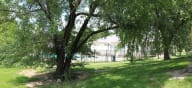 a large grassy area with trees and a house in the background at Canyon Creek Apartments, Missouri