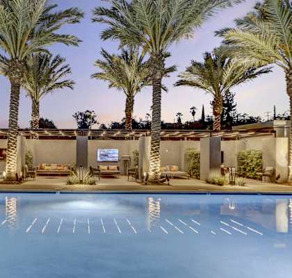 Pool with palm trees in the background at Array La Mesa, La Mesa, 91942