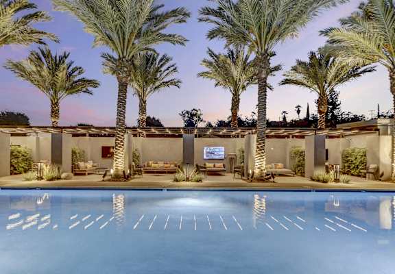 Pool with palm trees in the background at Array La Mesa, La Mesa, 91942