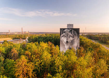 A large sculpture of a face is surrounded by trees.