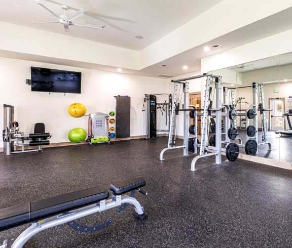 a gym with weights and mirrors on the floor and a wall mounted tv