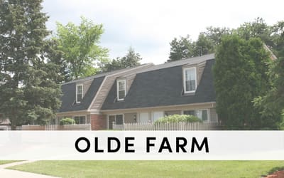 the story of the olde farm home