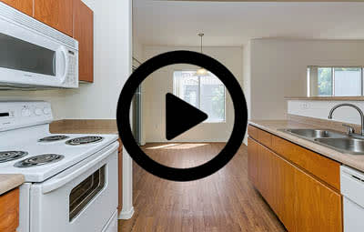 2 Bedroom Virtual Tour