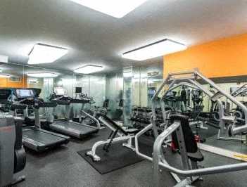 A gym with treadmills, elliptical machines, and other exercise equipment.
