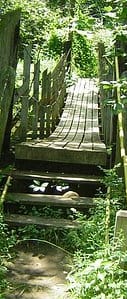 a wooden bridge in the middle of the woods
