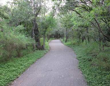 A paved trail winds through a wooded area.