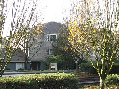 a large house with a mountain in the background