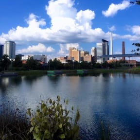 Railroad Park pond and the birmingham skyline at midday in spring