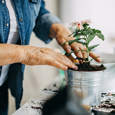 a woman planting a flower in a pot