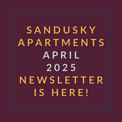 The image announces the availability of the Sandusky December 2024 newsletter.