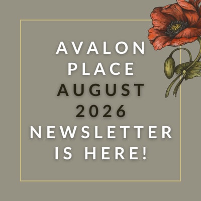 Avalon Place February 2025 Newsletter announcement.