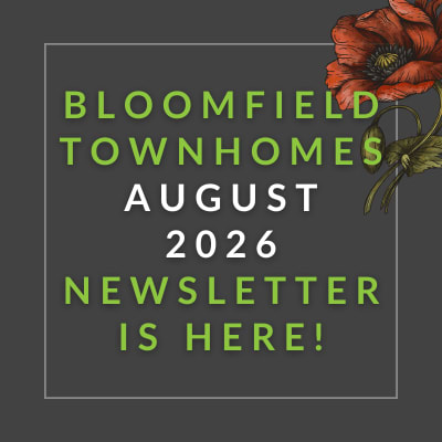 A message apologizing for the absence of a newsletter in the current month.