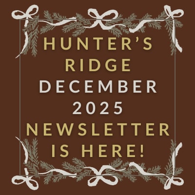 our apologies no october newsletter gold background with black text