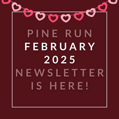 A newsletter announcement for the Pine Run event in February 2025.