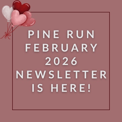 The image is an announcement for the Pine Run February 2026 newsletter.