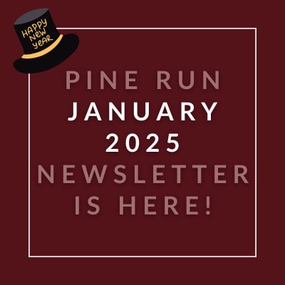A newsletter announcement for the Pine Run in January 2025.