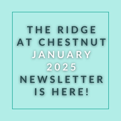 The image announces the availability of the Ridge at Chestnut January 2025 newsletter.