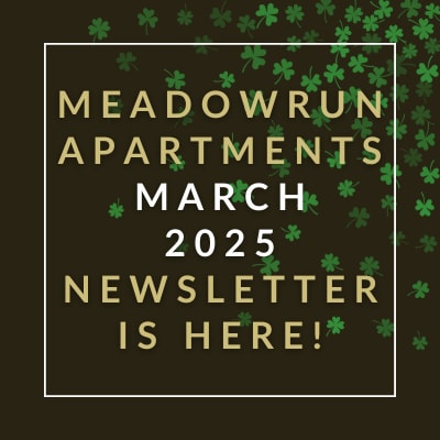 an image of a grey background with the text sorry no newsletter this month