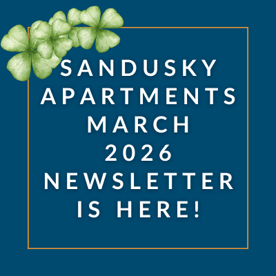 an orange background with the words the sandwich november 22 23 newsletter is here