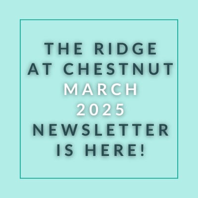 The image announces the availability of the Ridge at Chestnut March 2025 newsletter.