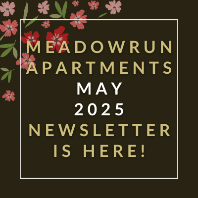 A black background with a border of pink and red hearts announces the Meadowrun Apartments February 2025 newsletter.
