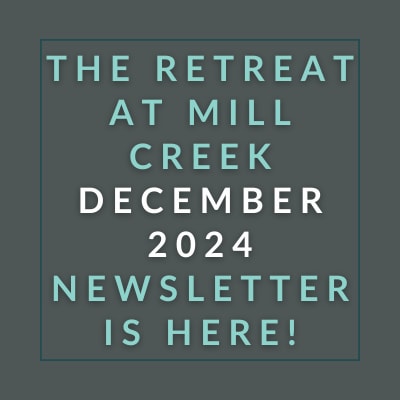 the retreat november 2024 newsletter is here poster