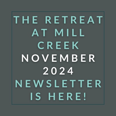 the retreat november 2024 newsletter is here poster