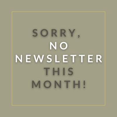 our apologies no october newsletter is here text on a brown background