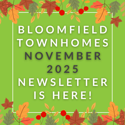 a white box august 2024 newsletter is here