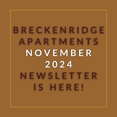 a box with the words apartments november 2024 is here