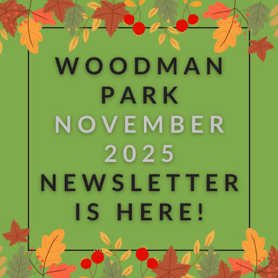 a green background with the words sorry, no newsletter this month