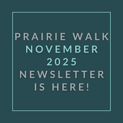 The image announces the availability of the Prairie Walk November 2025 newsletter.