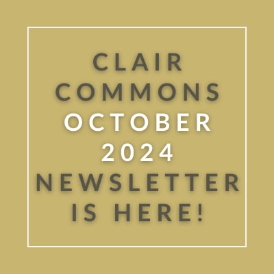 our apologies no october newsletter is here text on a brown background