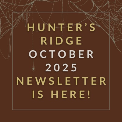 our apologies no september newsletter gold background