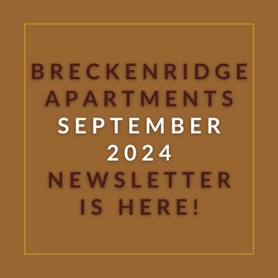a box with the words apartments september 2024 is here