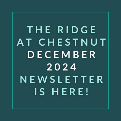 the ridge at chestnut november 2024 newsletter is here text